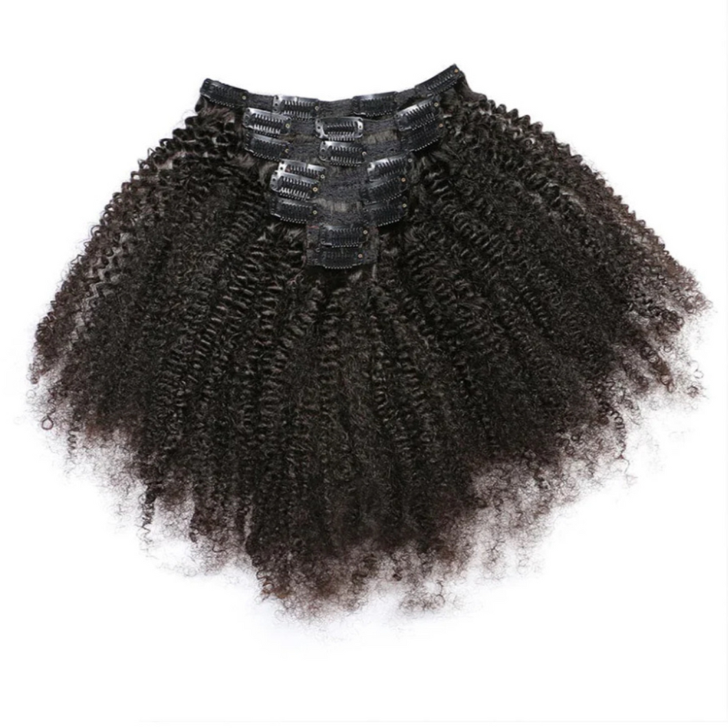 Kinky Curly Clip Ins